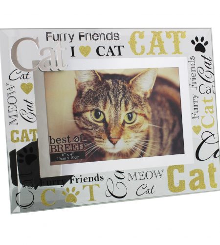 Glass Cat Photo Frame - 6" x 4"