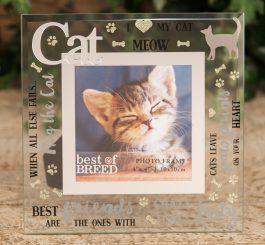 Glass Cat Photo Frame - 4" x 4"