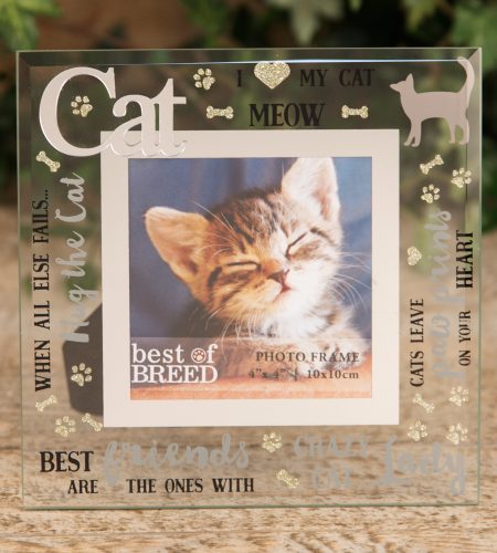 Glass Cat Photo Frame - 4" x 4"