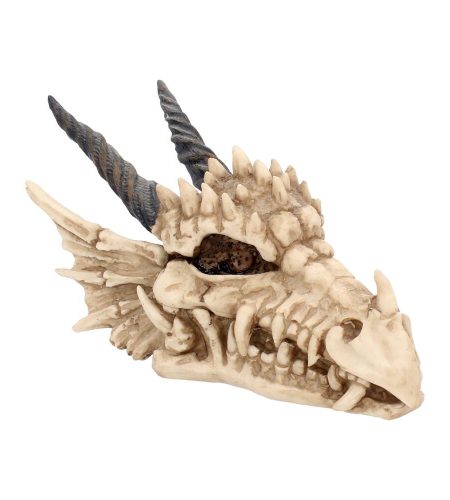 Dragon Skull Box