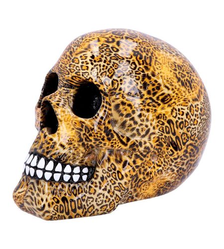 Wild Skull - Image 2