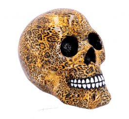 Wild Skull
