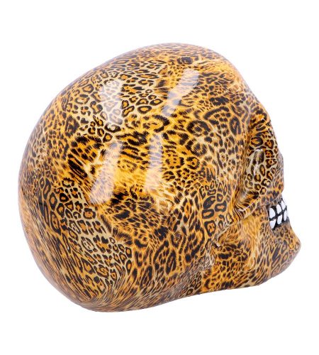 Wild Skull - Image 3