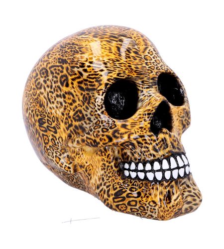 Wild Skull