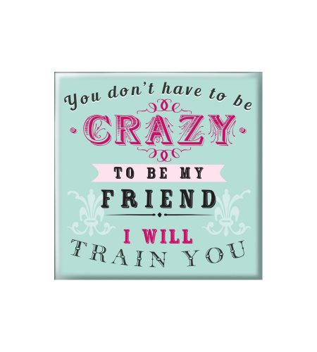 Crazy Friend Fridge Magnet