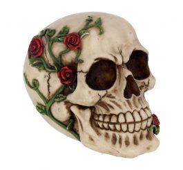 Rose from Beyond Skull