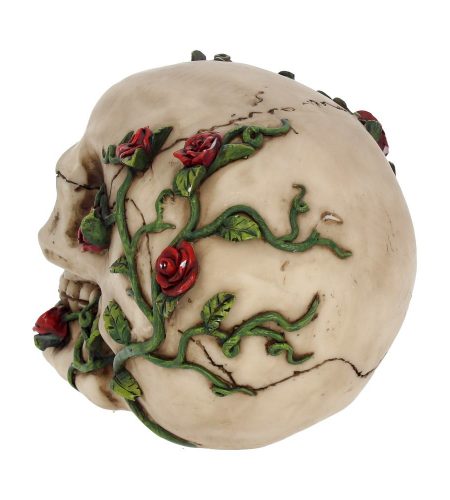 Rose from Beyond Skull - Image 3