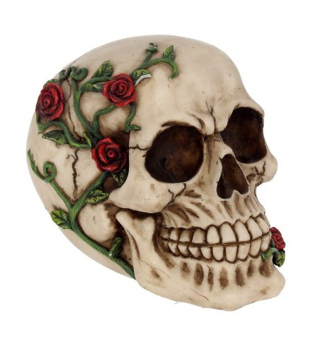 Rose from Beyond Skull