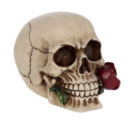 Rose From the Dead Skull