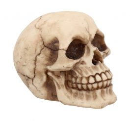Joker Skull