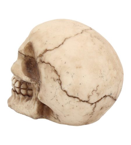 Joker Skull - Image 3