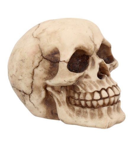 Joker Skull