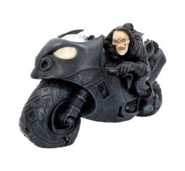 Speed Freak
