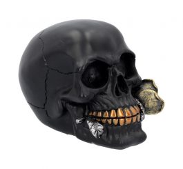 Black Rose Skull