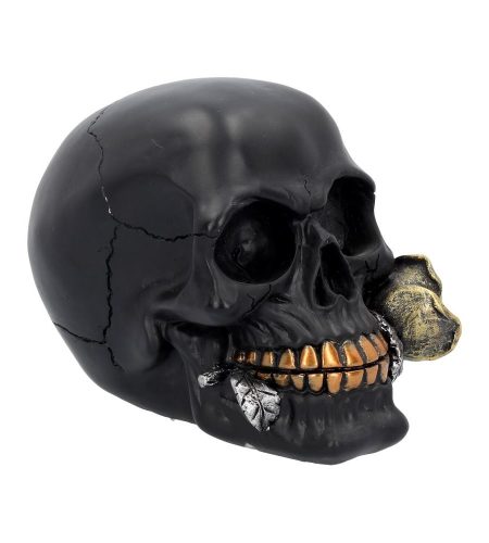 Black Rose Skull