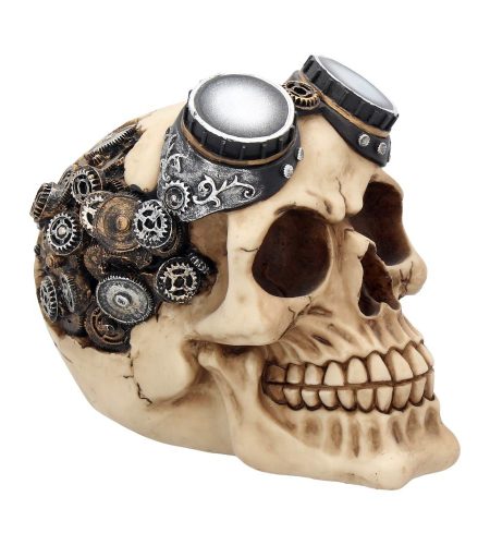 Goggles Skull