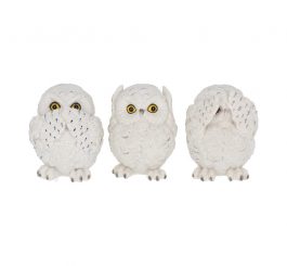 Three Wise Owls