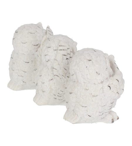 Three Wise Owls - Image 3