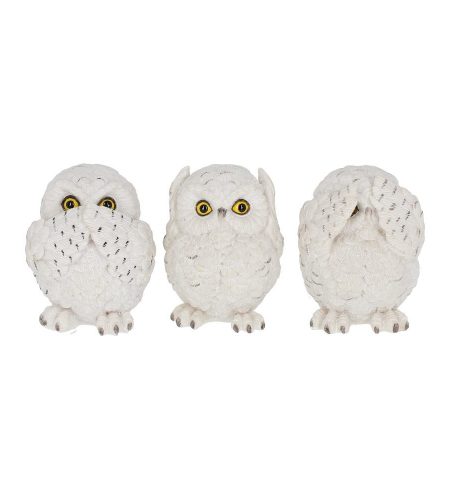 Three Wise Owls