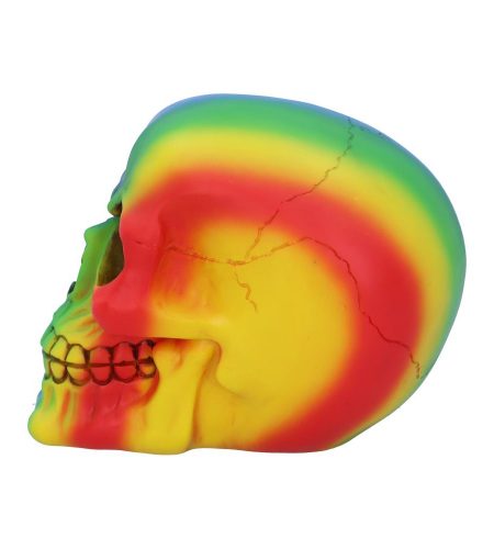 Rainbow Skull - Image 2
