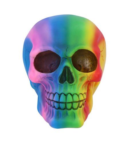 Rainbow Skull