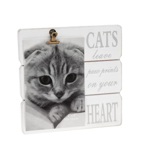 Message Clip Frame Cats