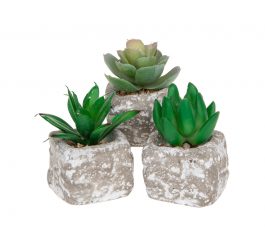 Set of 3 Small Faux Succulents