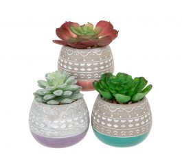 Set of 3 Faux Succulents