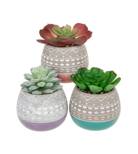 Set of 3 Faux Succulents