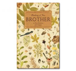 Brother Birthday Card