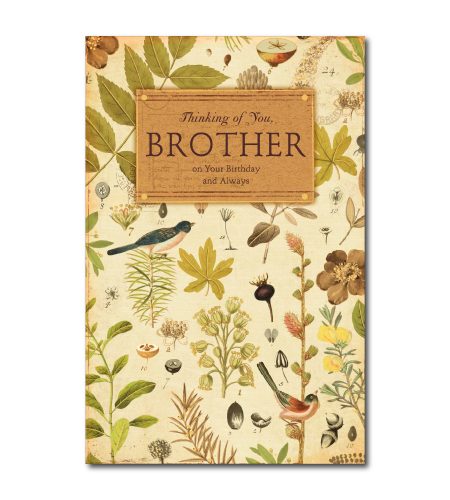 Brother Birthday Card