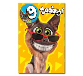 9th Birthday - Badge Attached