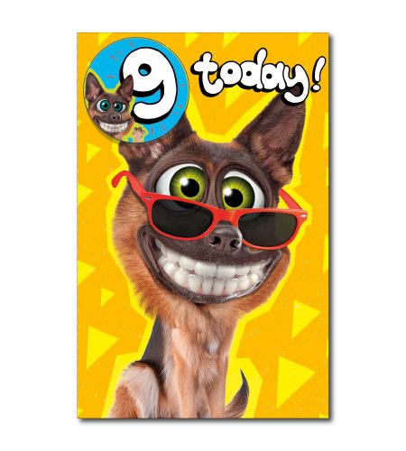 9th Birthday - Badge Attached