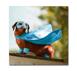 Super Dog Blank Photo Card