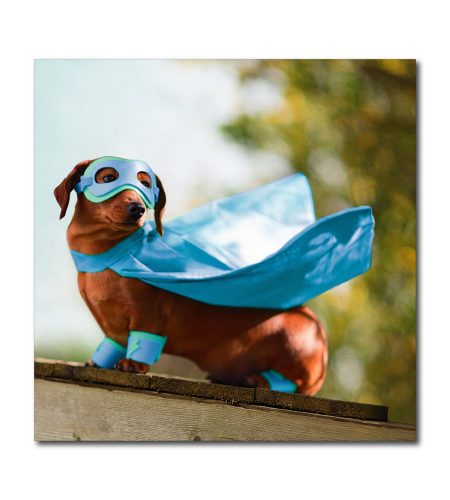 Super Dog Blank Photo Card