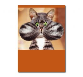 Greedy Cat Birthday Card