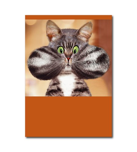 Greedy Cat Birthday Card