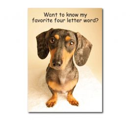Daschund Humour Card