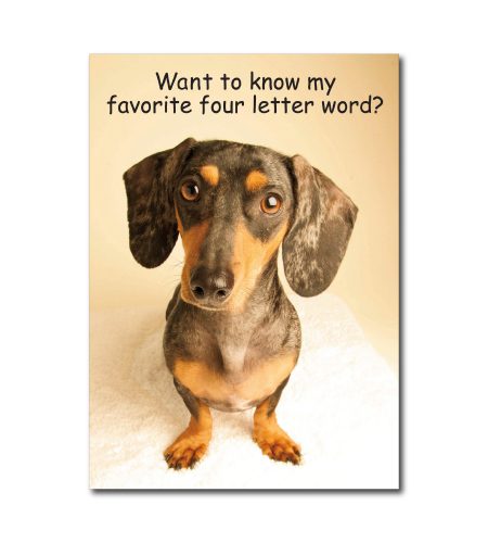 Daschund Humour Card