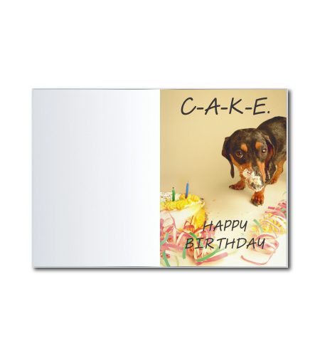 Daschund Humour Card - Image 2