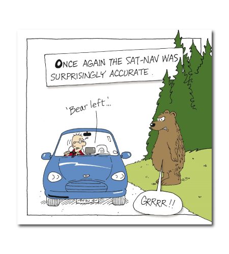 Bear Pun Greeting Card