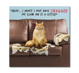 Cat Humour Card