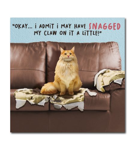 Cat Humour Card