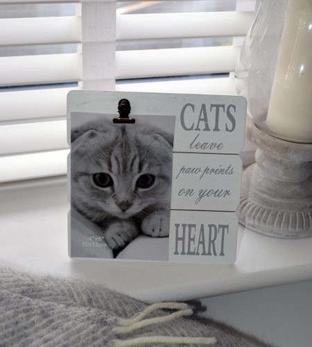 Message Clip Frame Cats - Image 2