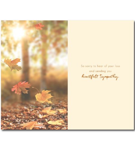 With Sympathy Card - Image 2