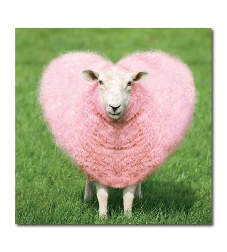 Heart Sheep Card