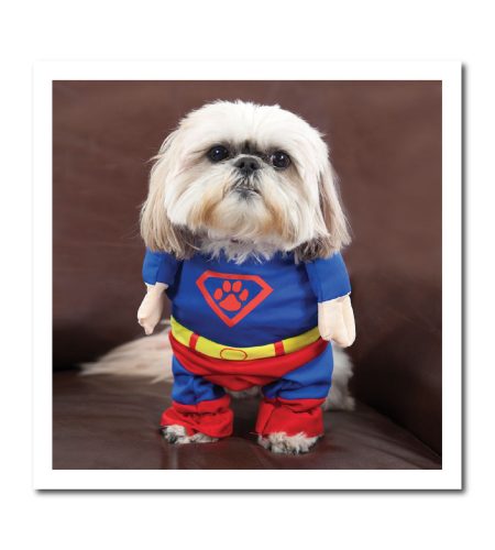 SuperDog Card