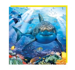 Shark 3D card