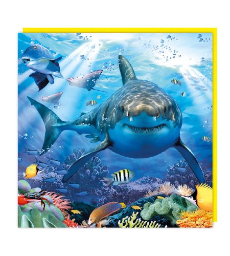 Shark 3D card