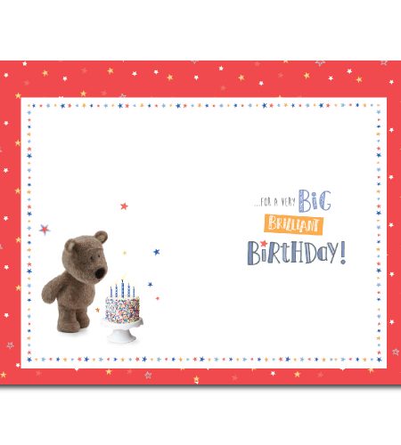 Nephew Birthday Card - Image 2